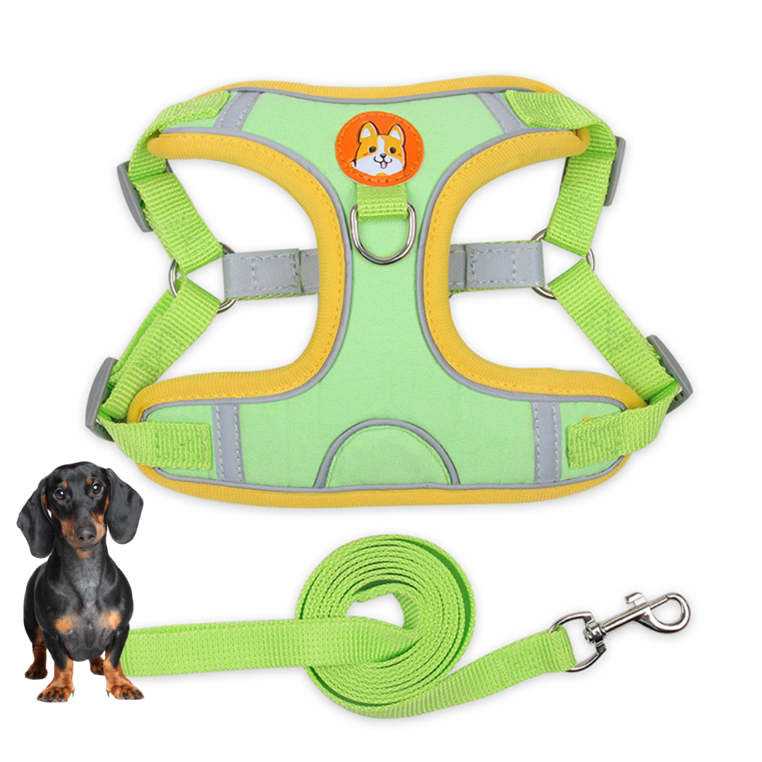 www.doxie.us-PawStride-Doxie-Reflective-Harness-&-Leash