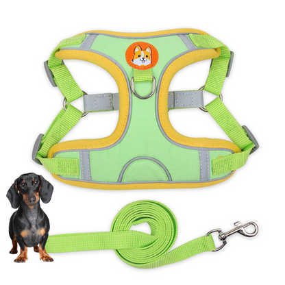 www.doxie.us-PawStride-Doxie-Reflective-Harness-&-Leash