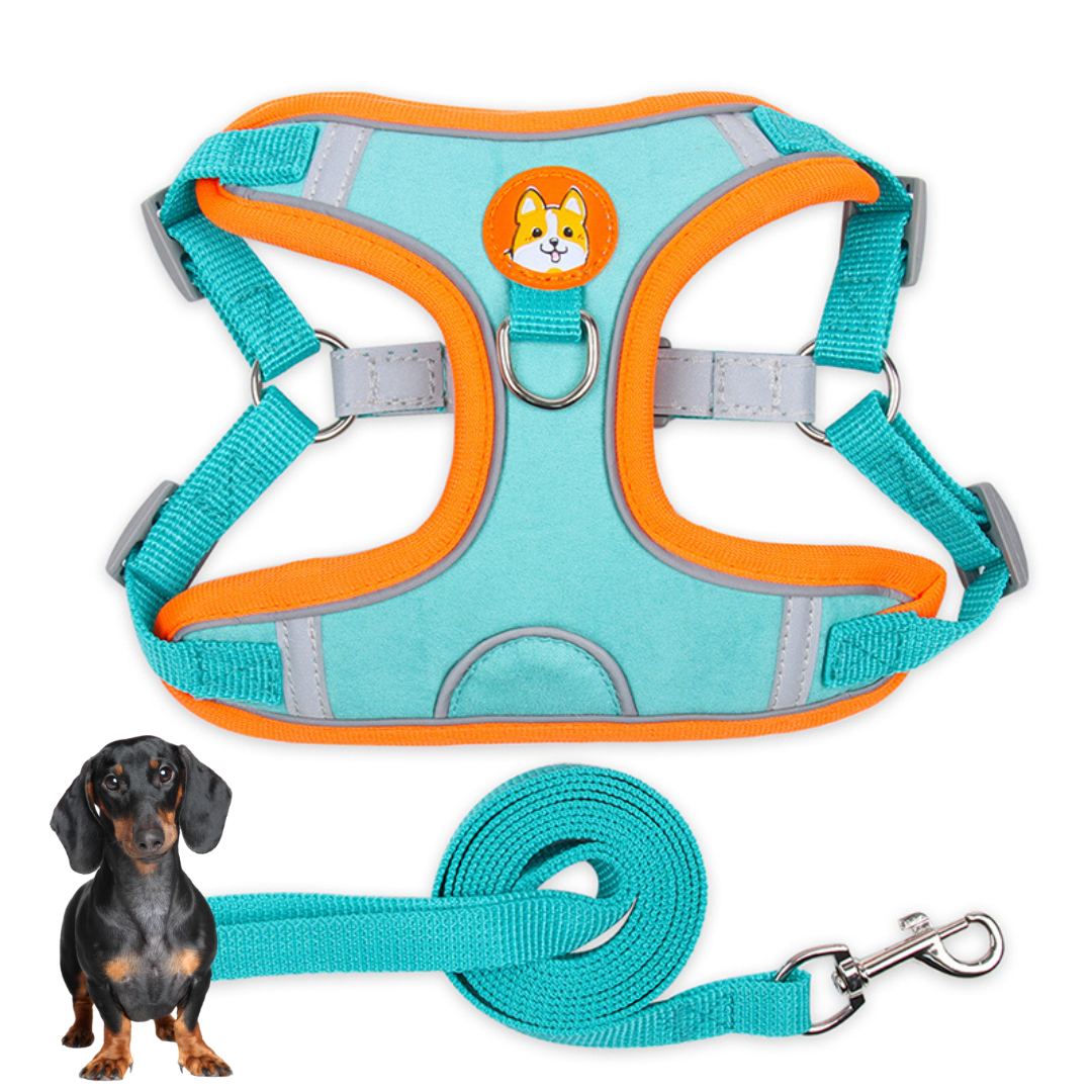 www.doxie.us-PawStride-Doxie-Reflective-Harness-&-Leash