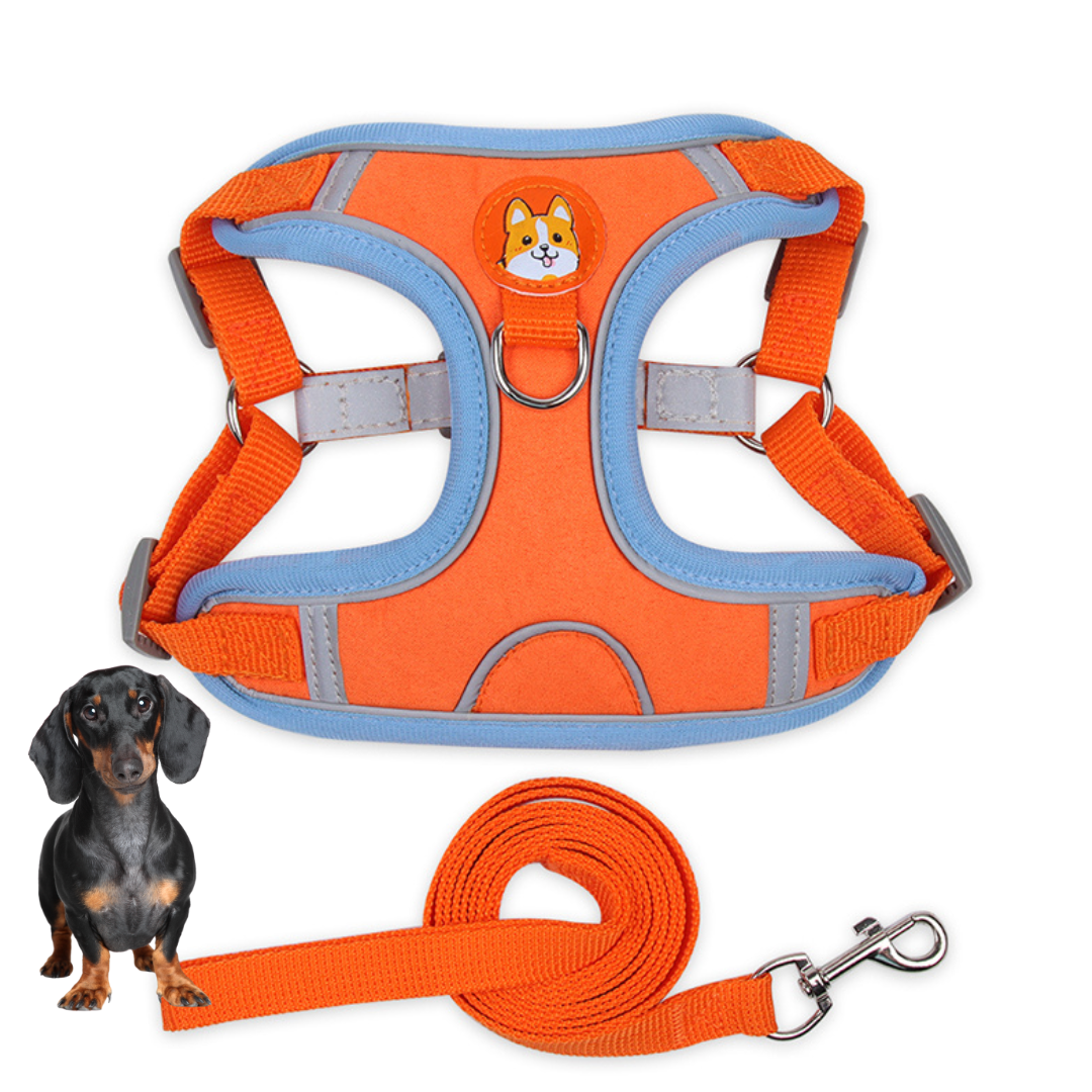 www.doxie.us-PawStride-Doxie-Reflective-Harness-&-Leash