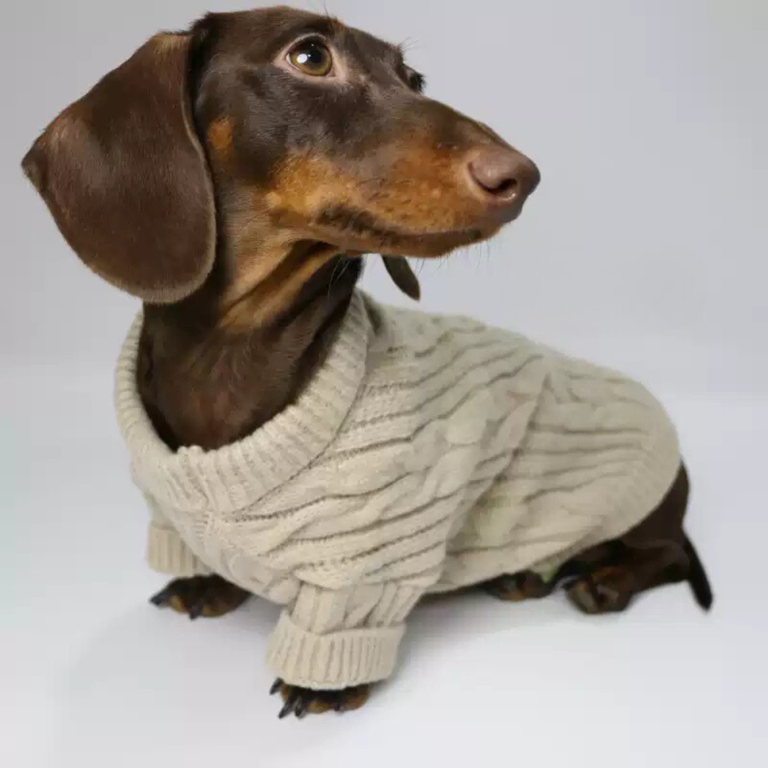 www.doxie.us-Premium-Cable-Knit-Dachshund-Sweater