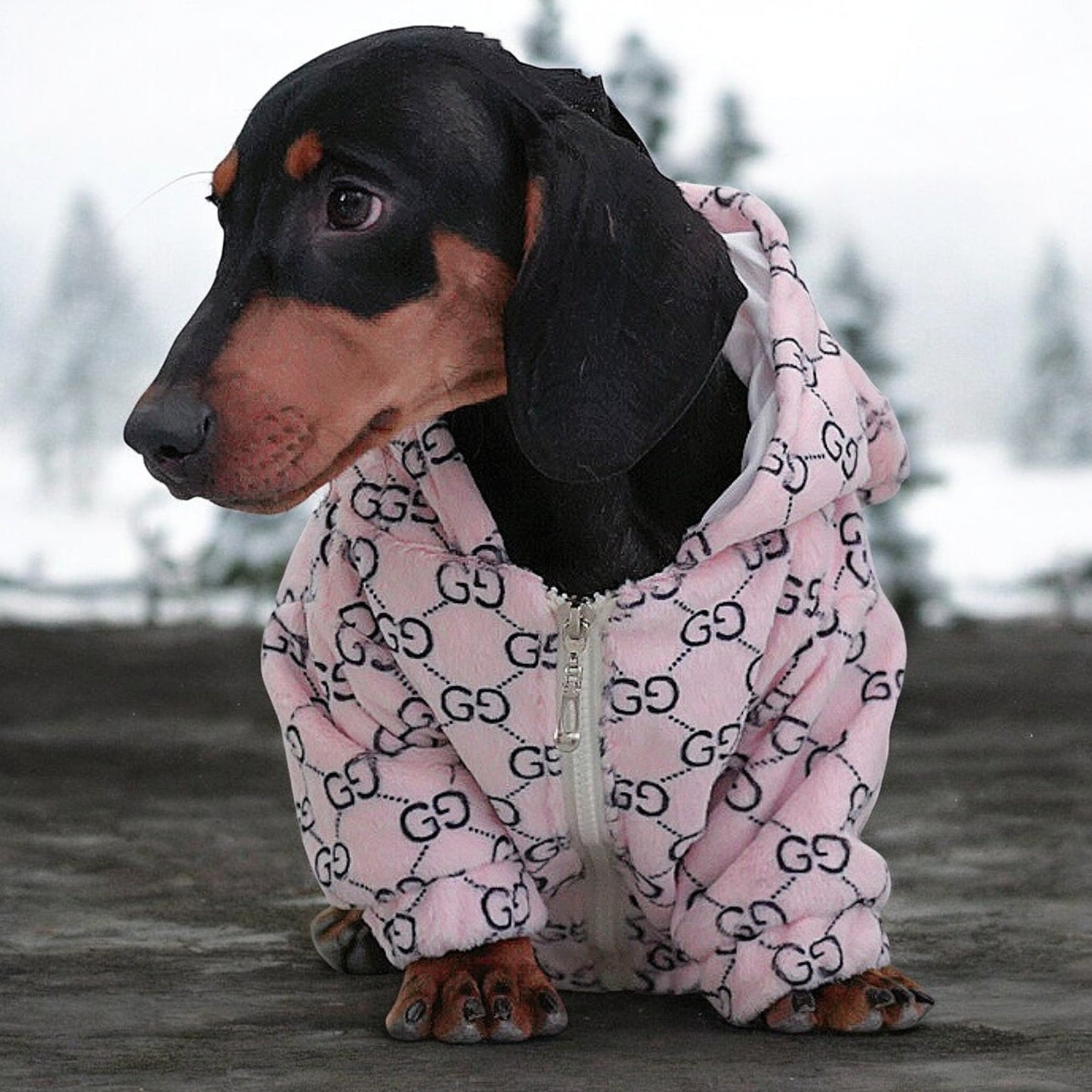 www.doxie.us-Premium-Dachshund-Bear-Hoodies