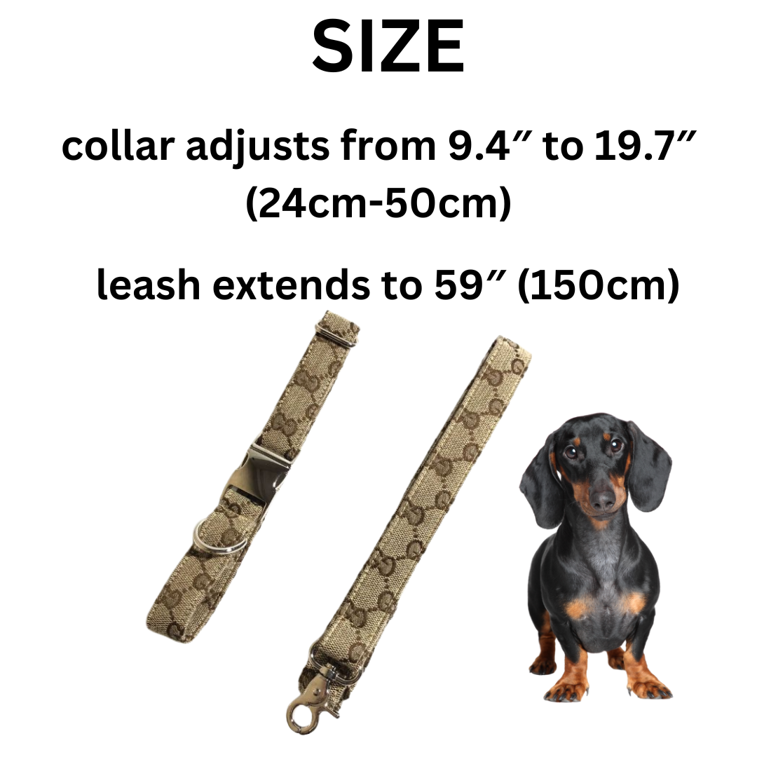 www.doxie.us-Premium-Dachshund-Collar-and-Leash-Set