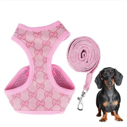 Padded dachshund harness and leash set, view 5