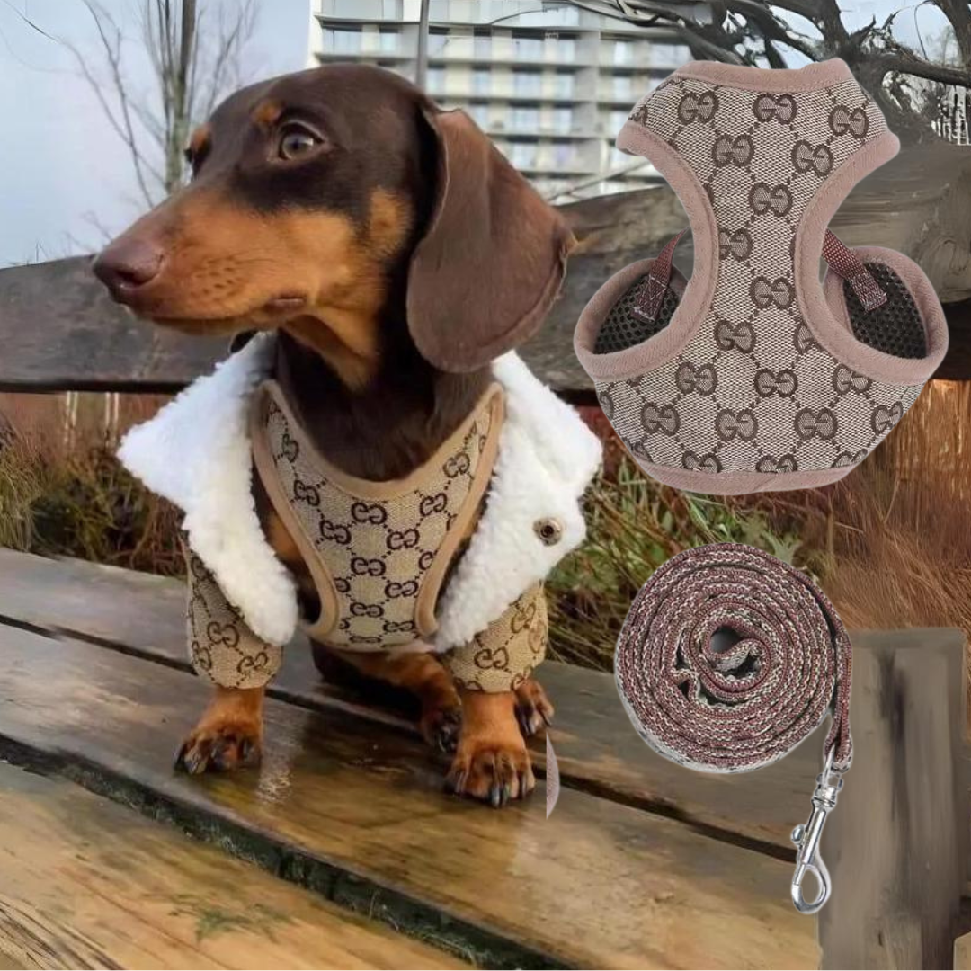 www.doxie.us-Premium-Dachshund-Harness-and-Leash-Set