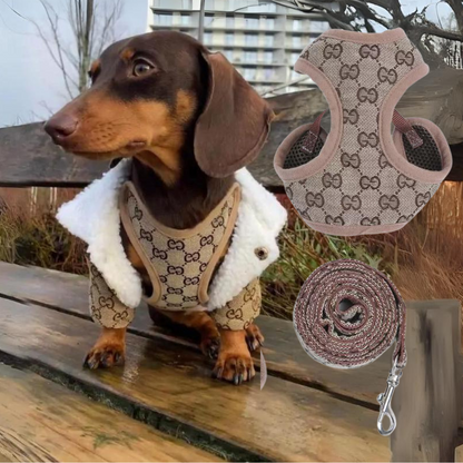 Padded dachshund harness and leash set, view 2