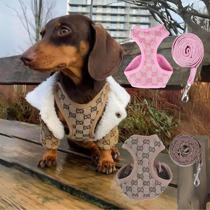 Padded dachshund harness and leash set, view 3