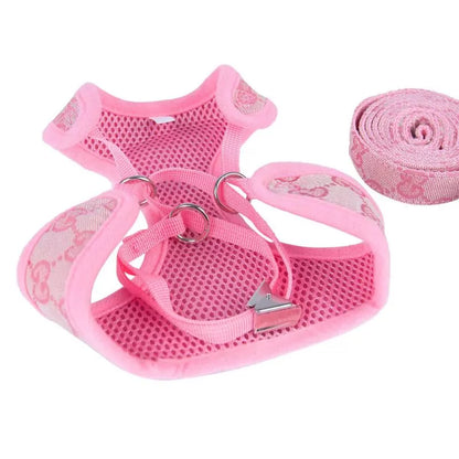 Padded dachshund harness and leash set, view 9