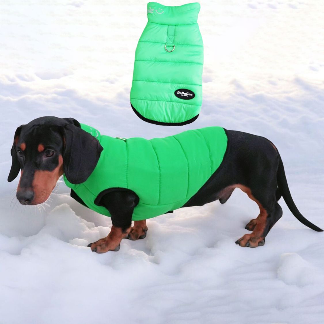 www.doxie.us-Premium-Dachshund-Winter-Jacket-Comfortable-Vest-with-D-Ring-for-Safe-Traction