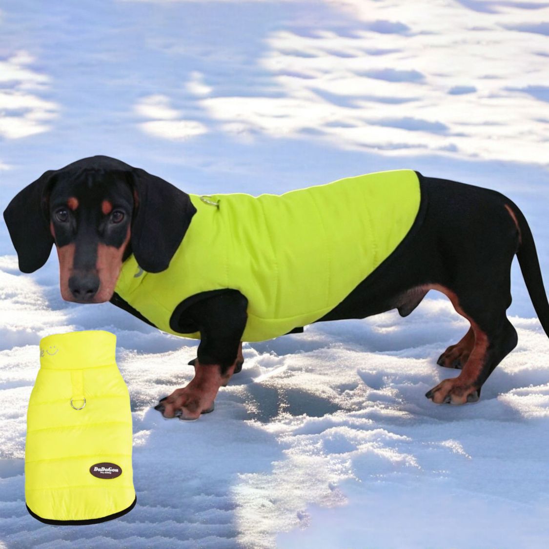 www.doxie.us-Premium-Dachshund-Winter-Jacket-Comfortable-Vest-with-D-Ring-for-Safe-Traction