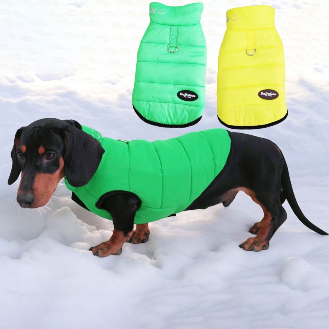 www.doxie.us-Premium-Dachshund-Winter-Jacket-Comfortable-Vest-with-D-Ring-for-Safe-Traction