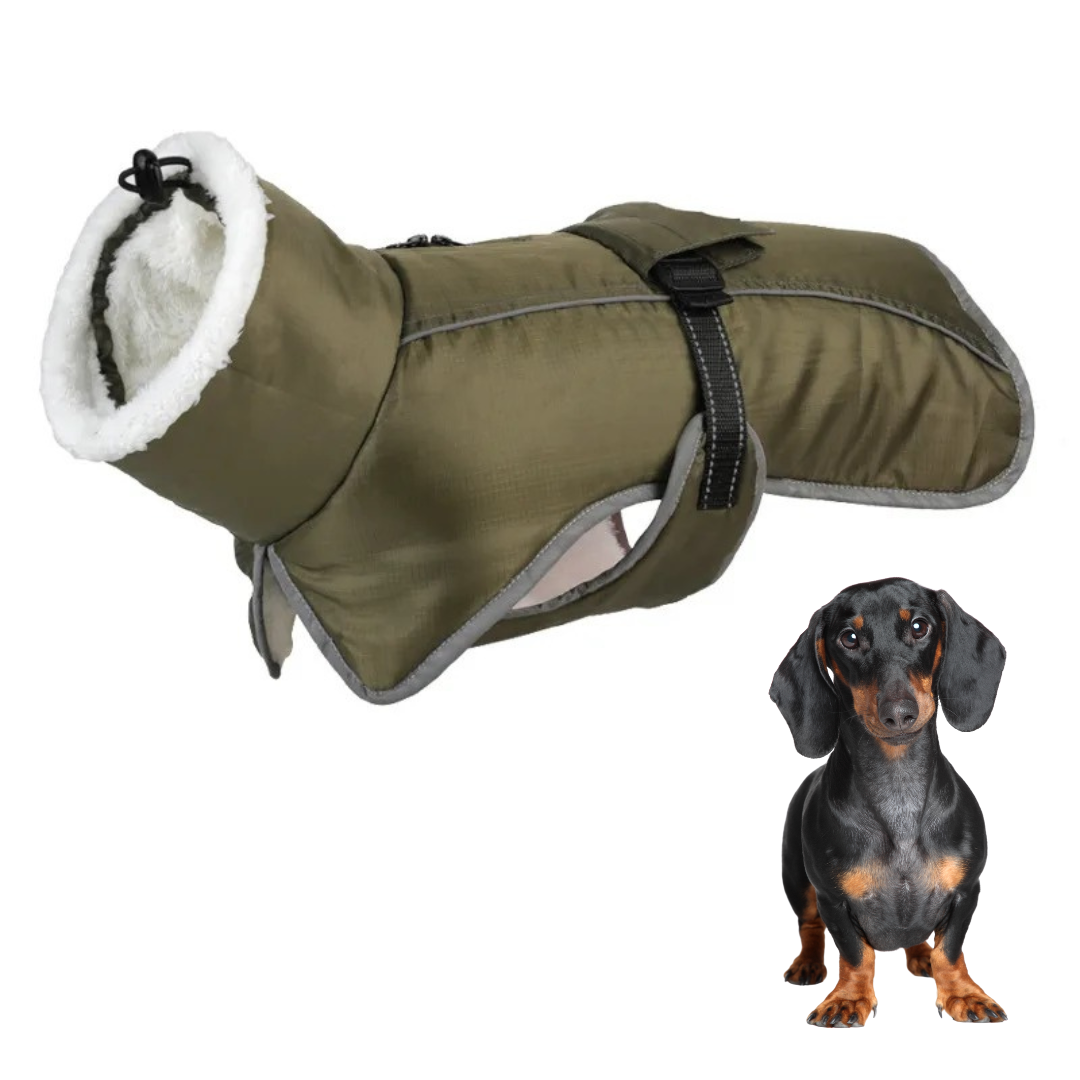 www.doxie.us-Premium-Fleece-Dachshund-Coat