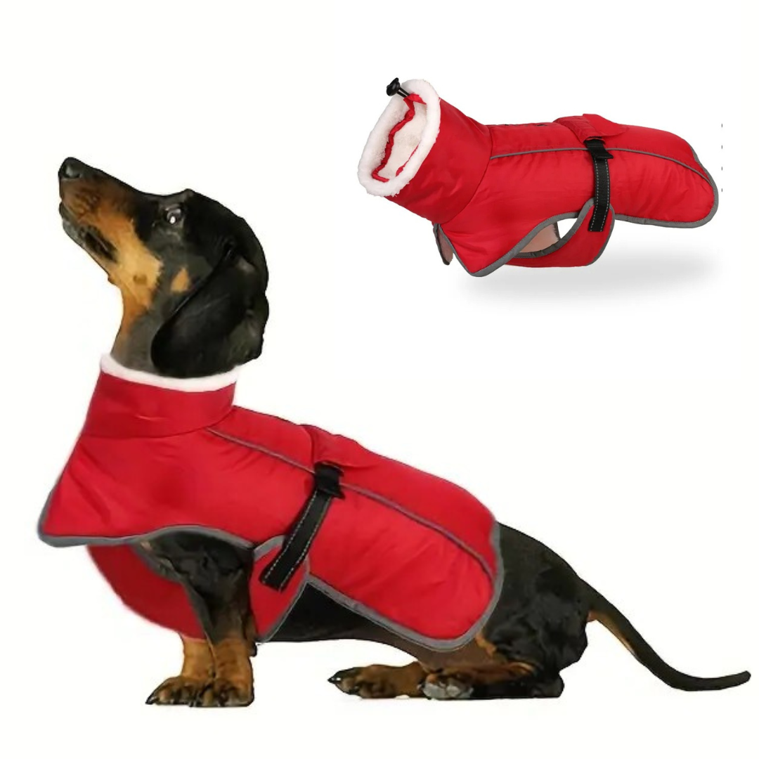 www.doxie.us-Premium-Fleece-Dachshund-Coat