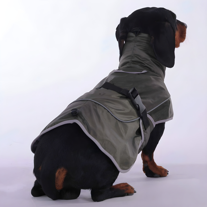www.doxie.us-PupProof-Dachshund-Winter-Jacket-Ultimate-Warmth-and-Rain-Protection