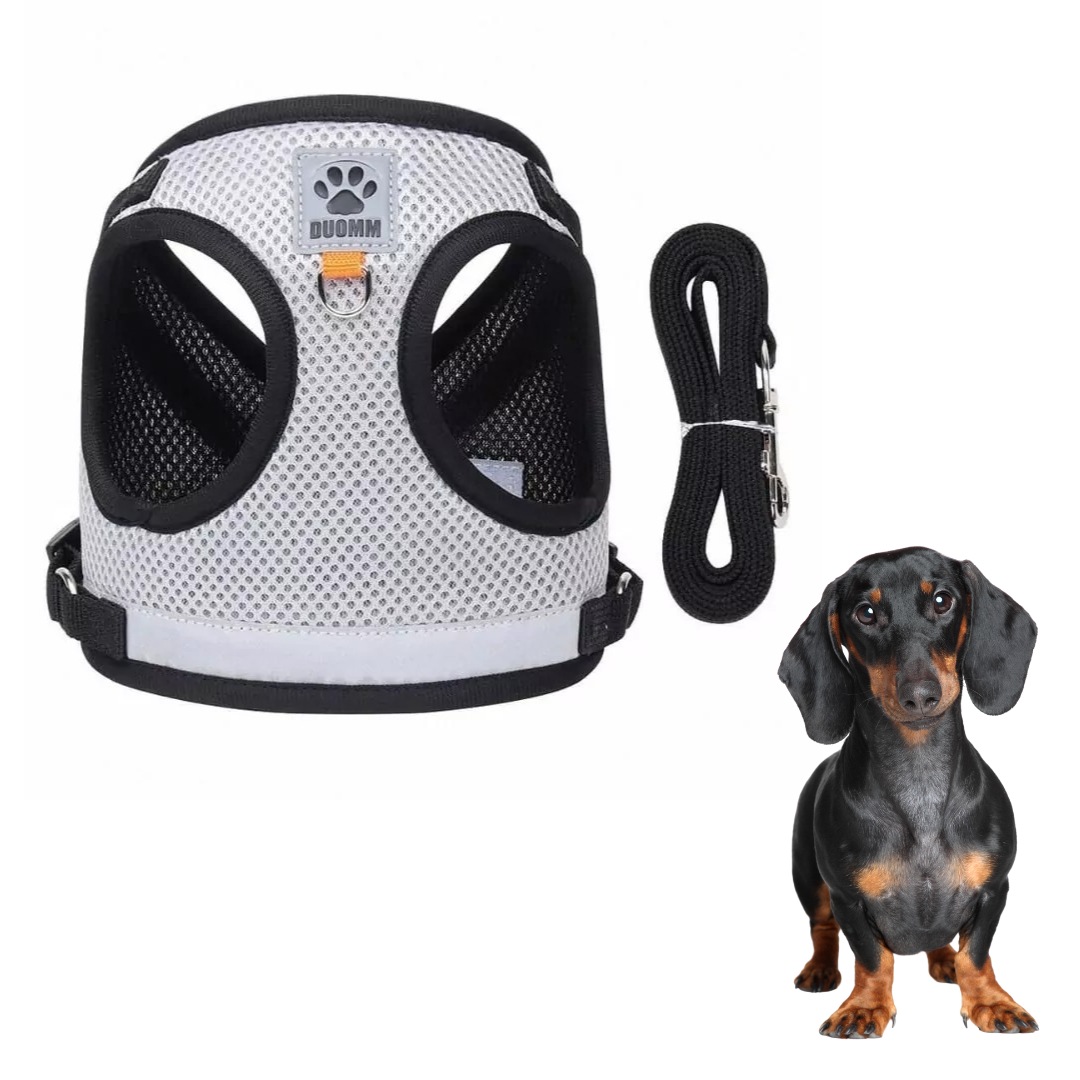 www.doxie.us-ShinePup-Dachshund-Reflective-Harness-with-Leash