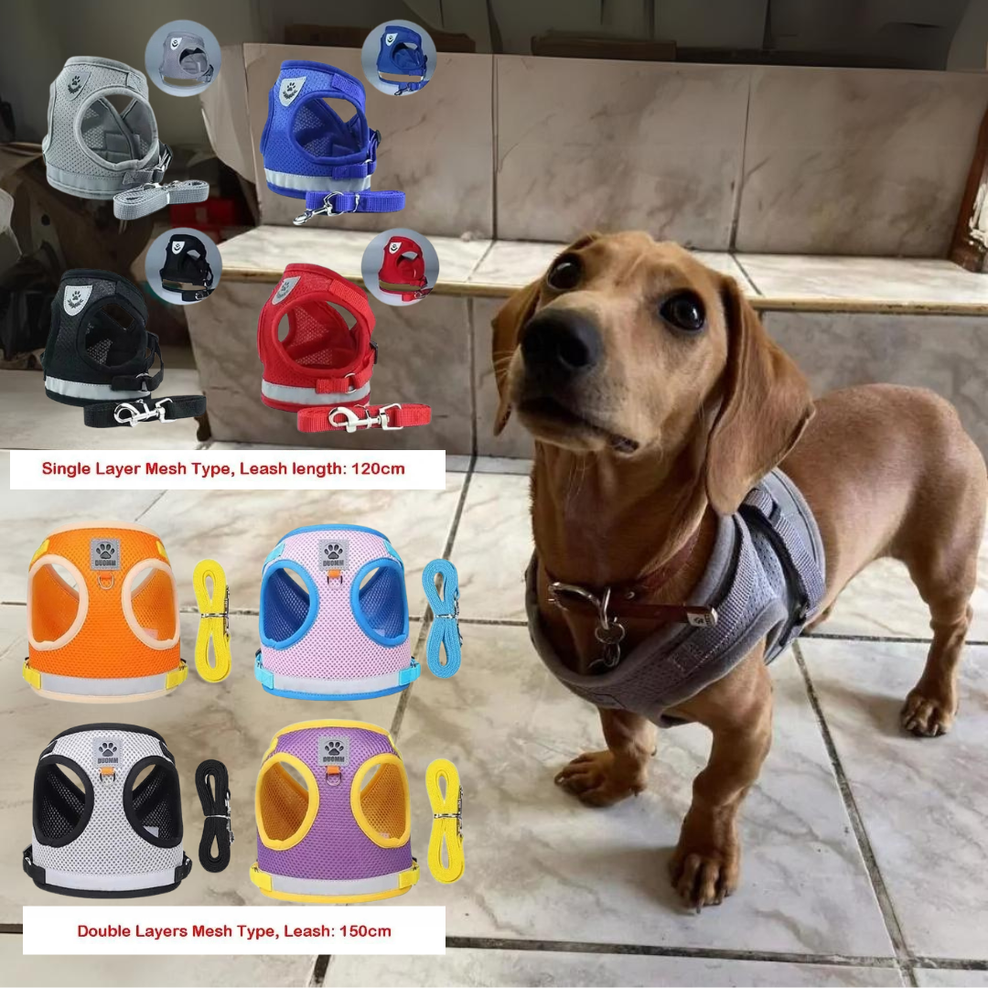 www.doxie.us-ShinePup-Dachshund-Reflective-Harness-with-Leash