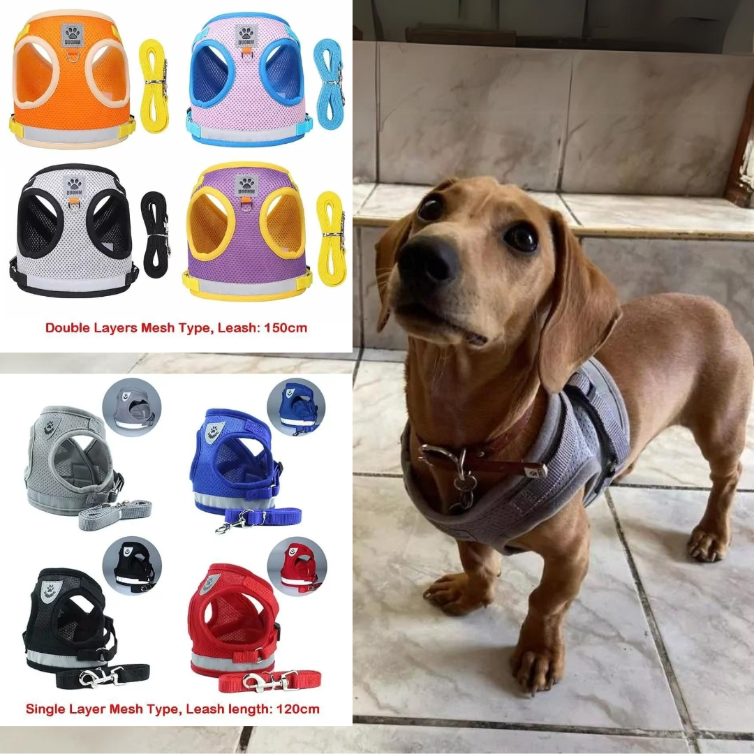 www.doxie.us-ShinePup-Dachshund-Reflective-Harness-with-Leash