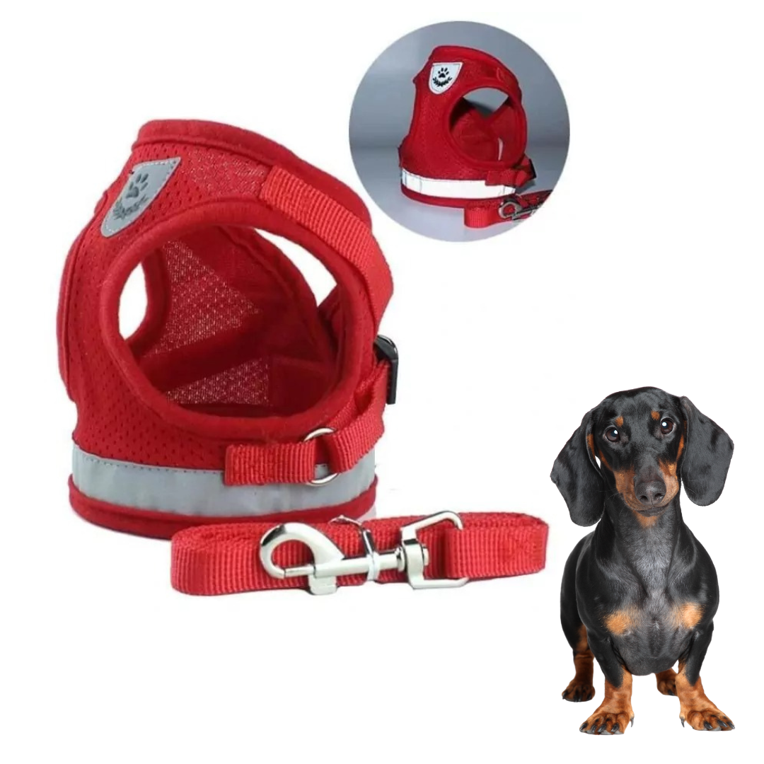 www.doxie.us-ShinePup-Dachshund-Reflective-Harness-with-Leash