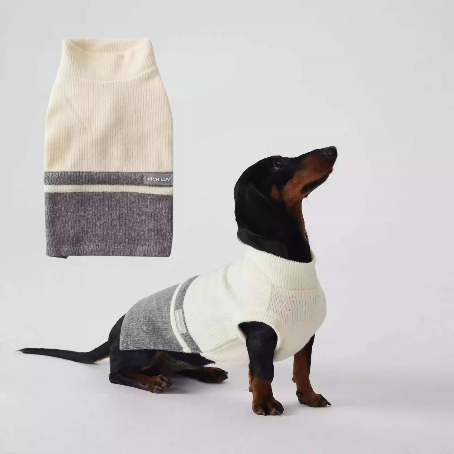 www.doxie.us-Stylish-Dachshund-Sweater-Cozy-Two-Tone-Bottoming-Doxie-Shirt