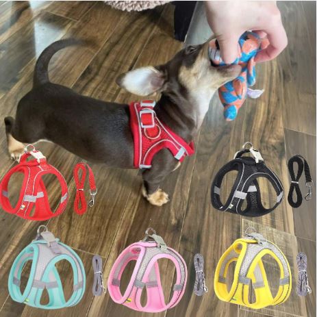 www.doxie.us-TailTribe-Dachshund-Reflective-Harness-and-Leash