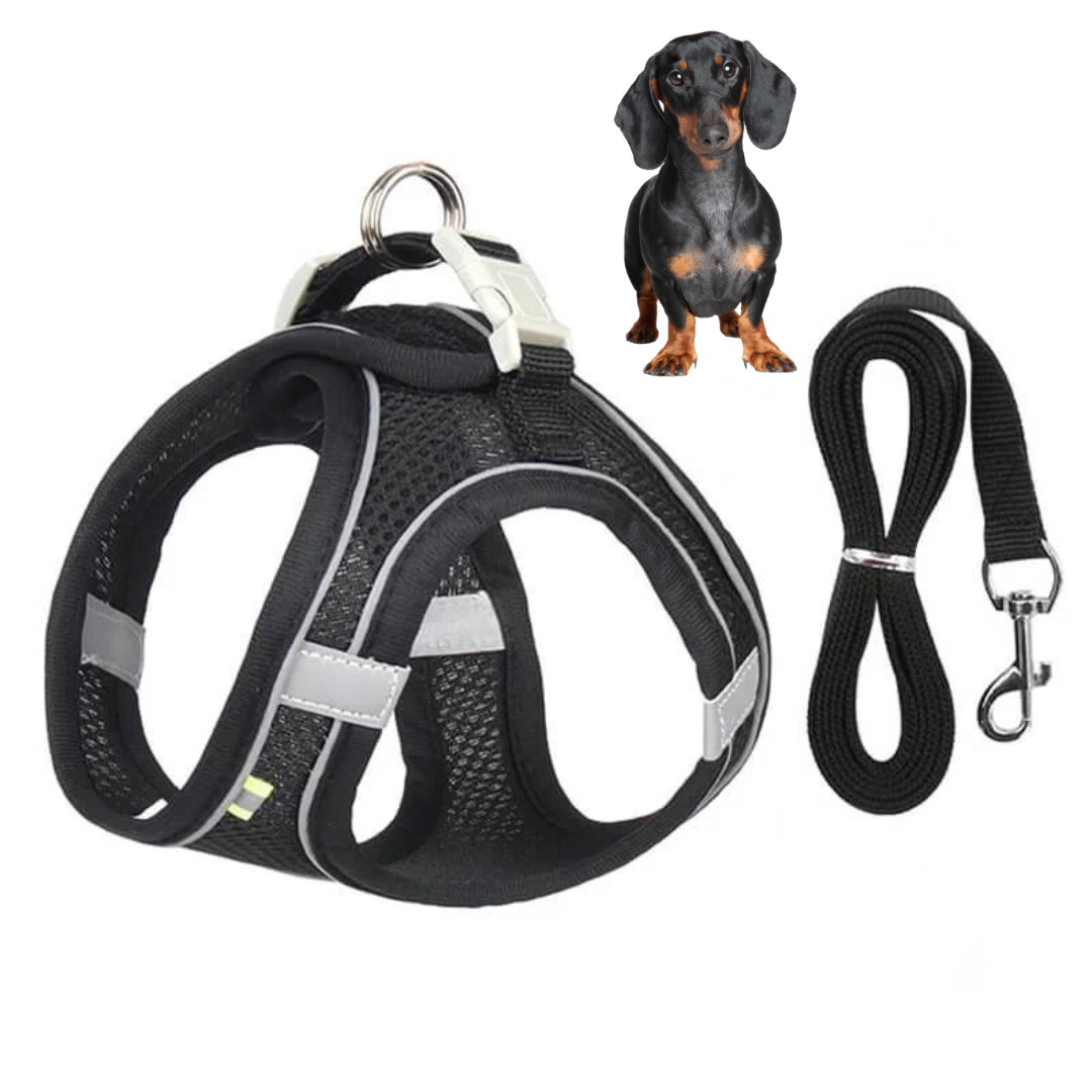 www.doxie.us-TailTribe-Dachshund-Reflective-Harness-and-Leash