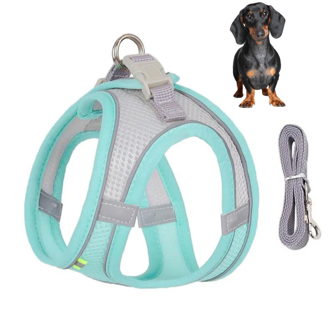 www.doxie.us-TailTribe-Dachshund-Reflective-Harness-and-Leash