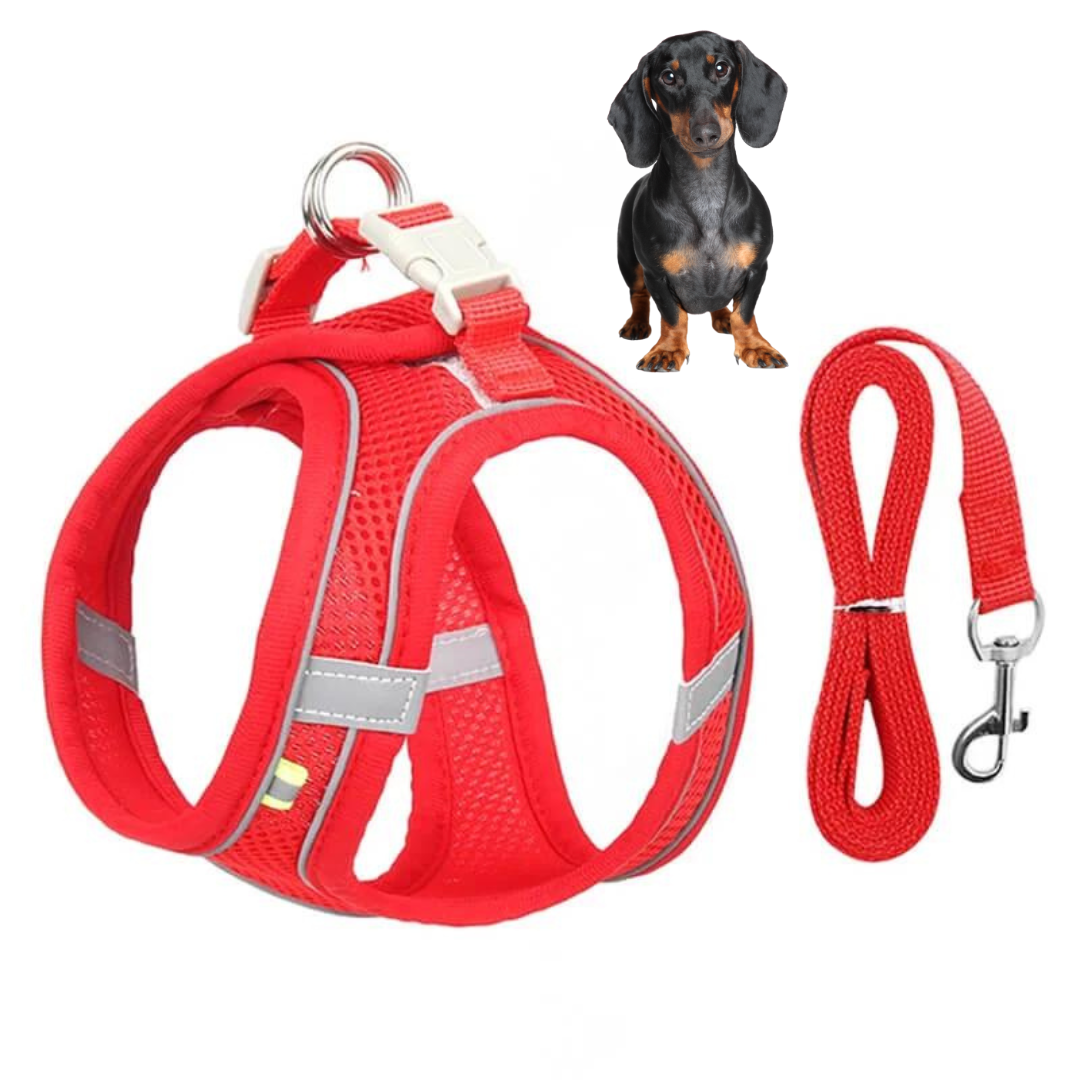 www.doxie.us-TailTribe-Dachshund-Reflective-Harness-and-Leash