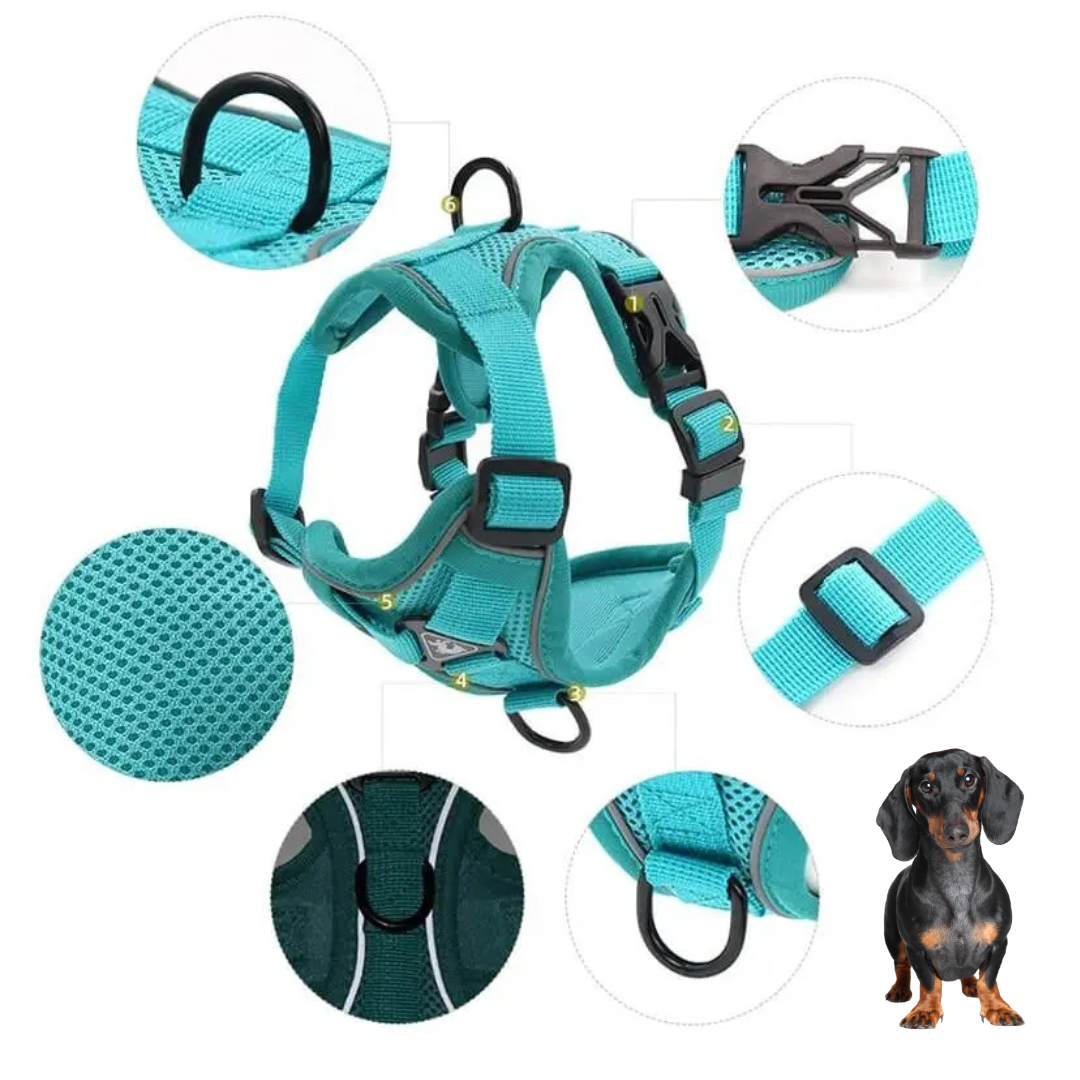 www.doxie.us-WagFree-No-Pull-Doxie-Harness-and-Leash-Set