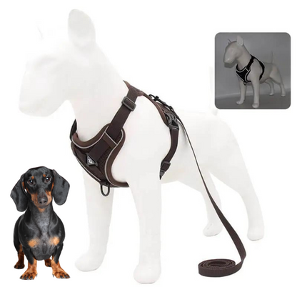 www.doxie.us-WagFree-No-Pull-Doxie-Harness-and-Leash-Set