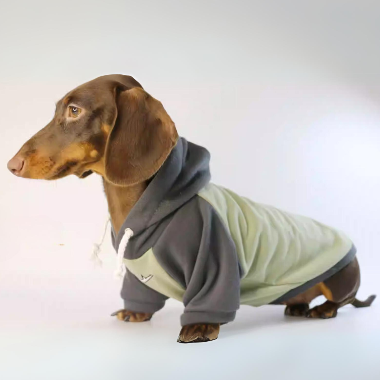 www.doxie.us-Warm-Dachshund-Hooded-Sweatshirt