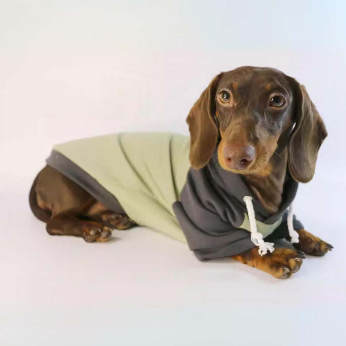 www.doxie.us-Warm-Dachshund-Hooded-Sweatshirt