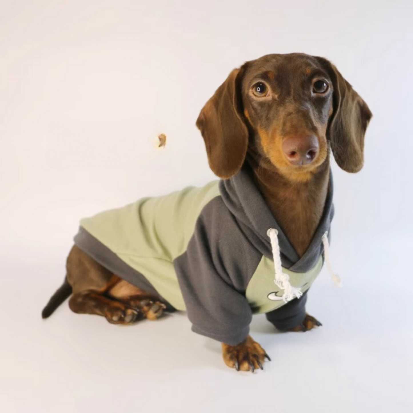 www.doxie.us-Warm-Dachshund-Hooded-Sweatshirt