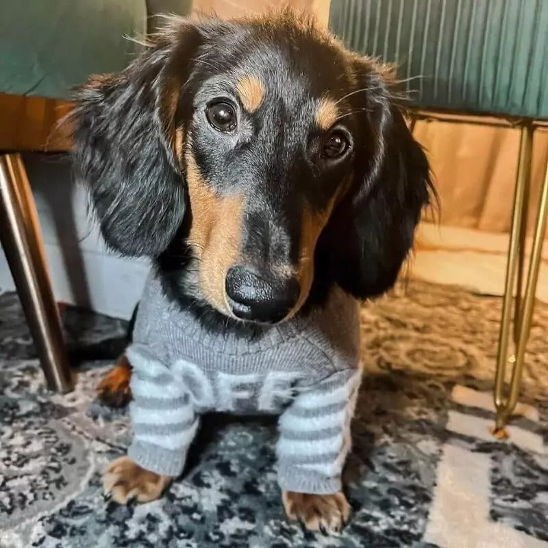 www.doxie.us-Woff-Grey-Dachshund-Sweater