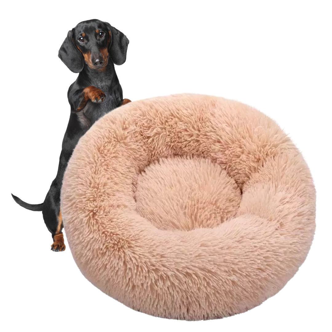 www.doxie.us-WoofLuxe-Dachshund-Donut-Bed