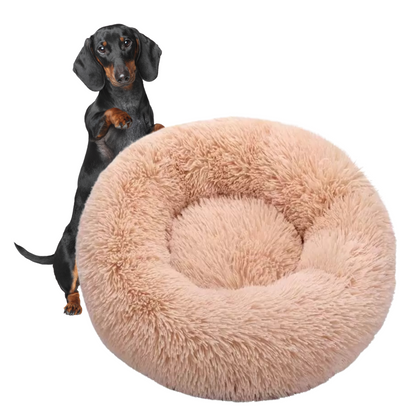 www.doxie.us-WoofLuxe-Dachshund-Donut-Bed