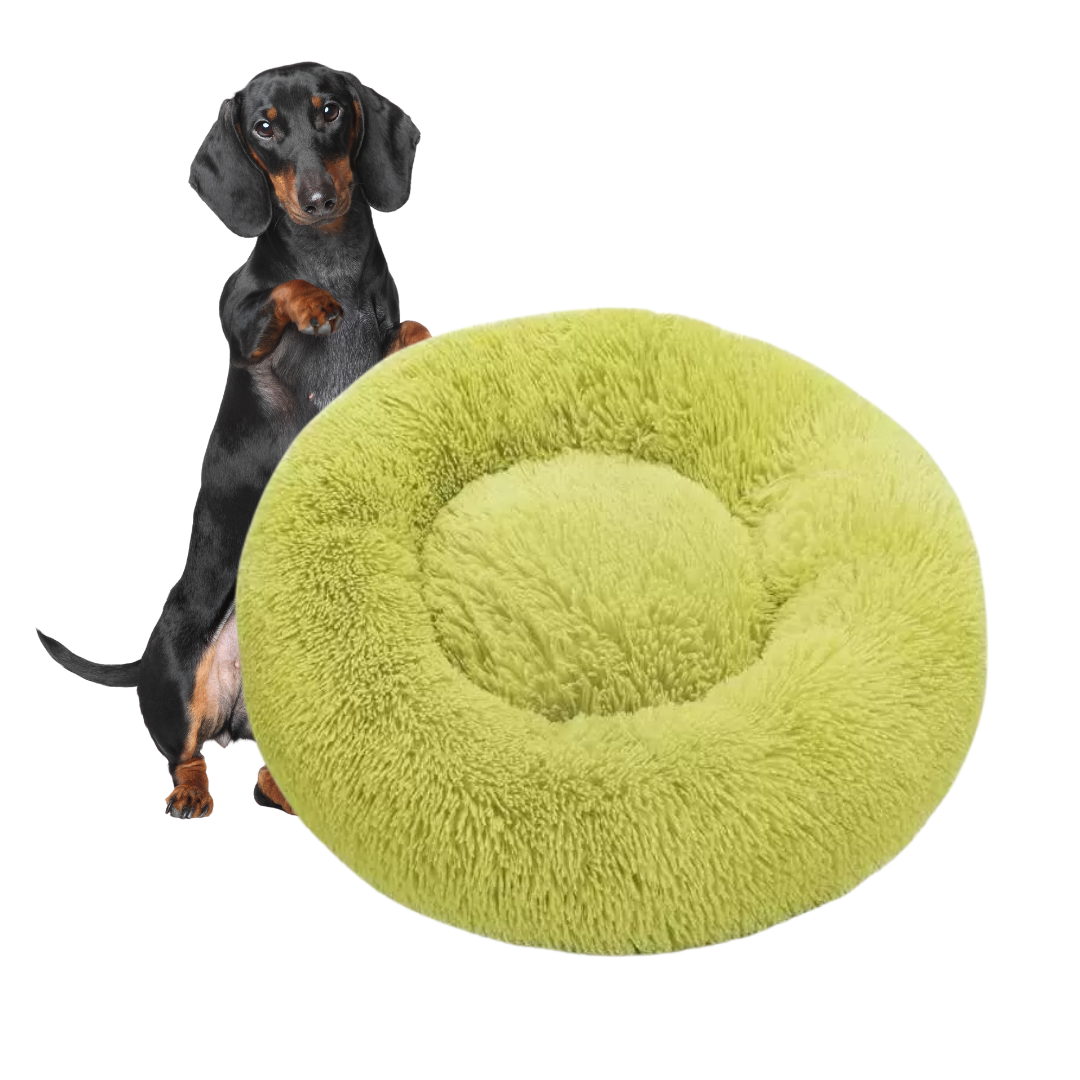 www.doxie.us-WoofLuxe-Dachshund-Donut-Bed