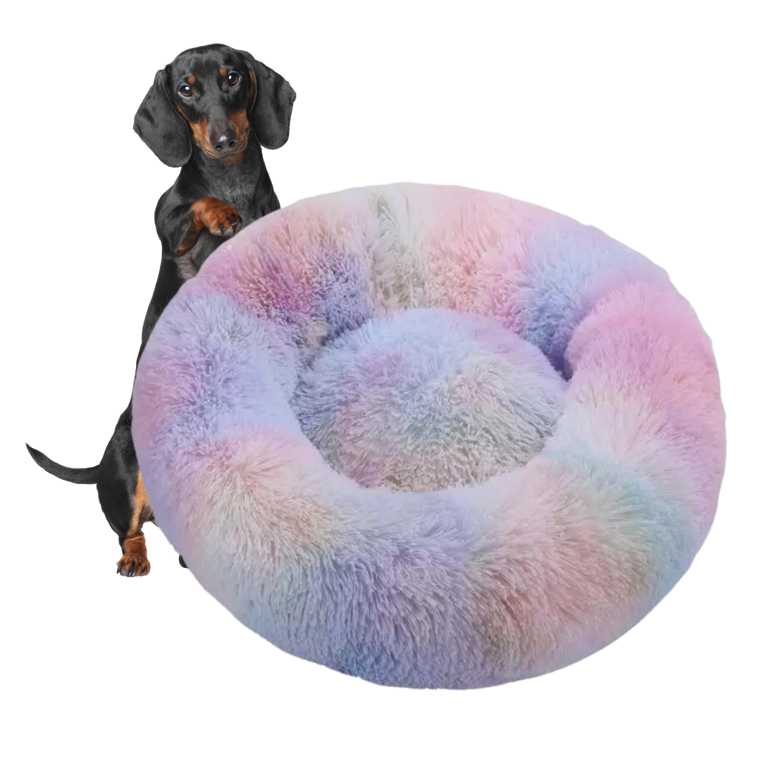 www.doxie.us-WoofLuxe-Dachshund-Donut-Bed