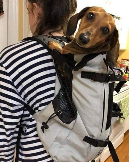 Backpack carrier for dachshunds with back support, view 4