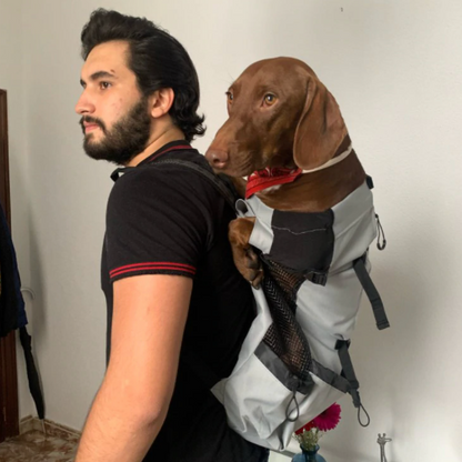 Backpack carrier for dachshunds with back support, view 5