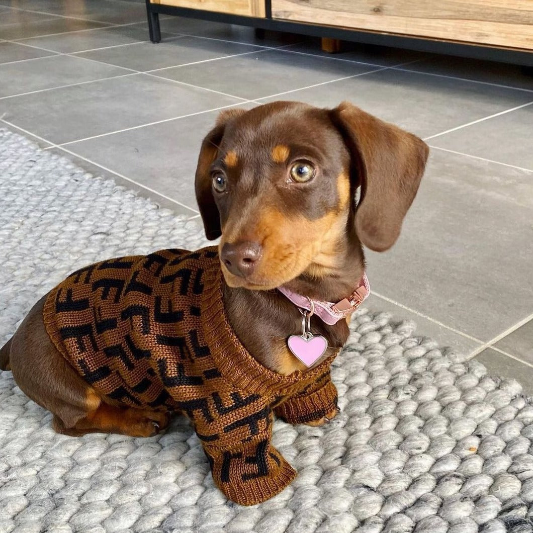 Luxury Dachshund Sweater