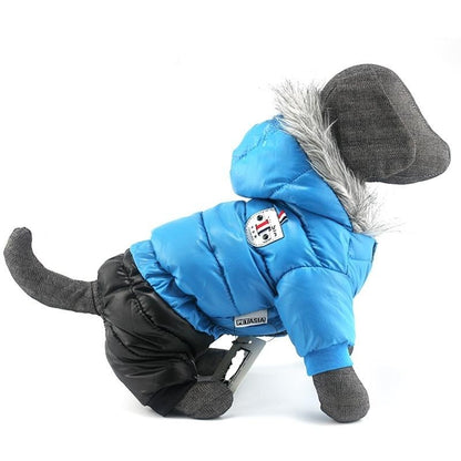 Dachshund Winter Jacket - Dachshund Shop