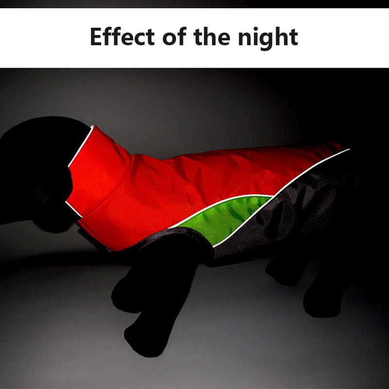 Dachshund Waterproof Coat Jacket With Reflective Trim - Dachshund Shop.jpg