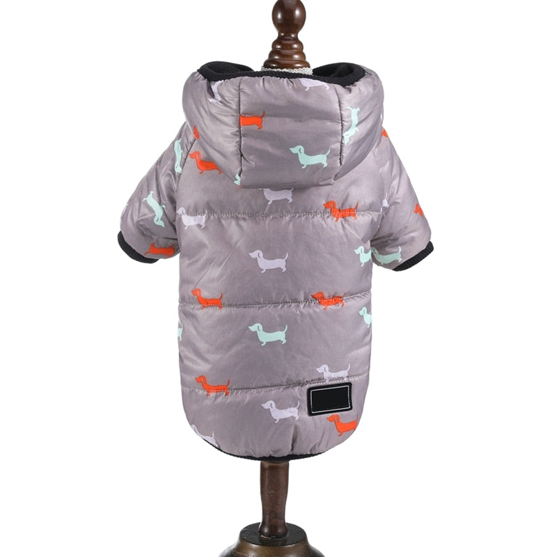 Dachshund Winter Coats Waterproof Jacket for Puppy - Dachshund Shop