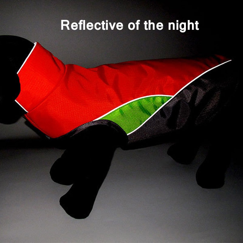 Dachshund Waterproof Coat Jacket With Reflective Trim - Dachshund Shop.jpg