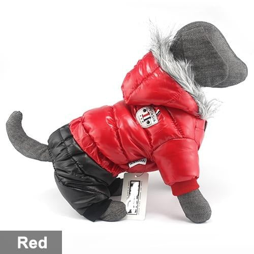 Dachshund Winter Jacket - Dachshund Shop