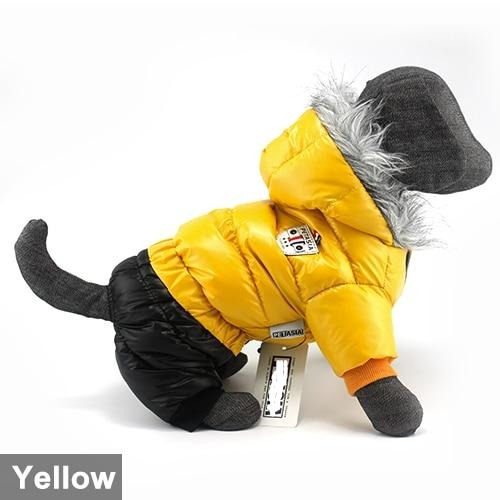 Dachshund Winter Jacket - Dachshund Shop