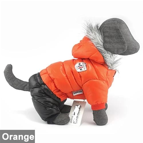 Dachshund Winter Jacket - Dachshund Shop