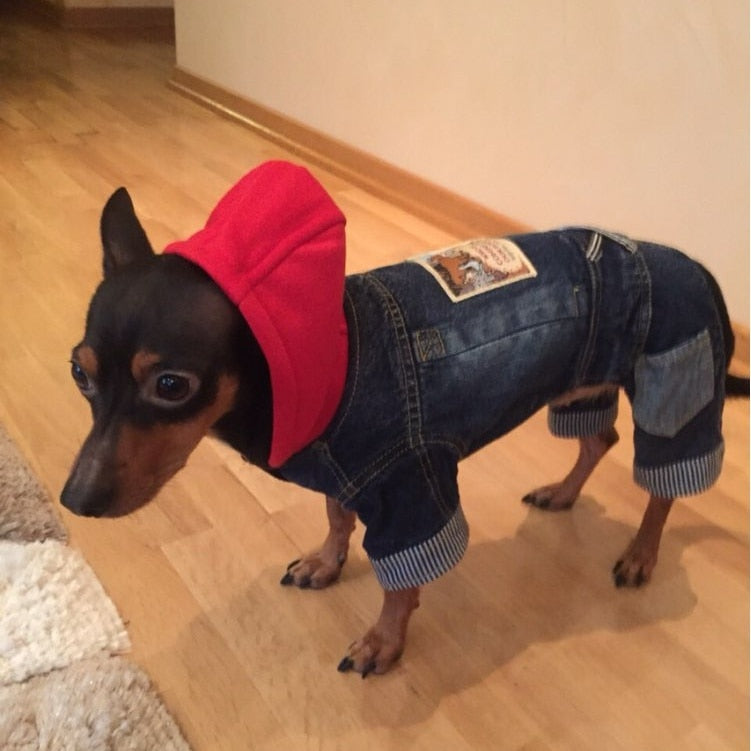 Dachshund Winter Jeans Coat - Dachshund Shop.jpg