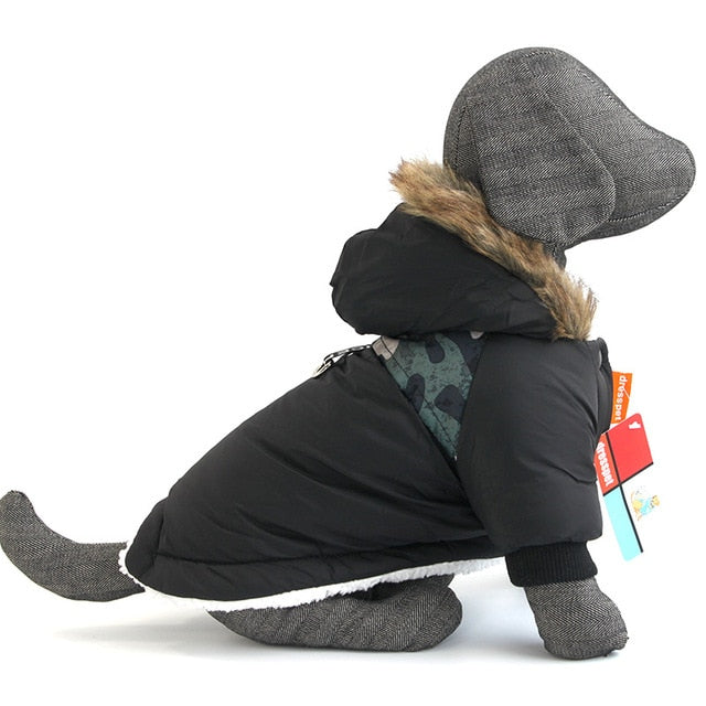 Dachshund Winter Coat for Extreme winter- Dachshund Shop.jpg