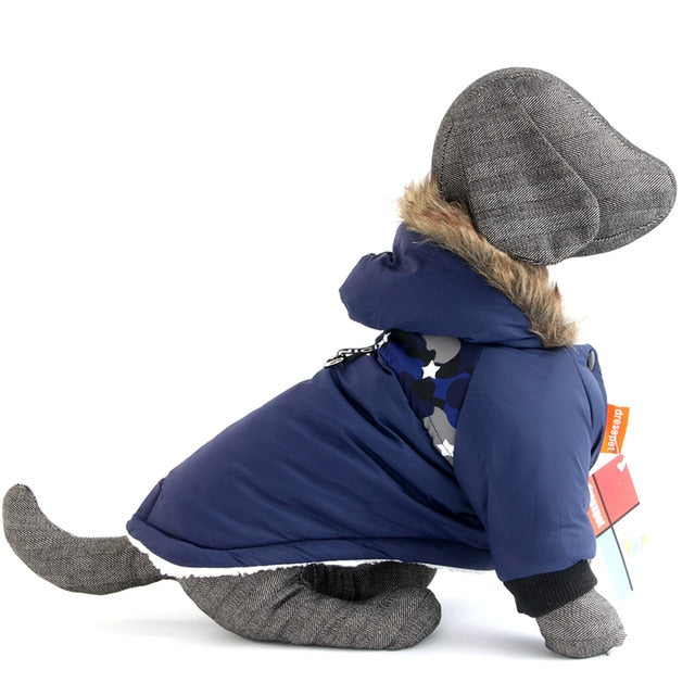 Dachshund Winter Coat for Extreme winter- Dachshund Shop